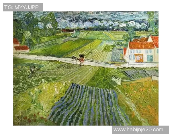 小罗足球明星挂画欣赏经典瞬间与独特风采尽在其中